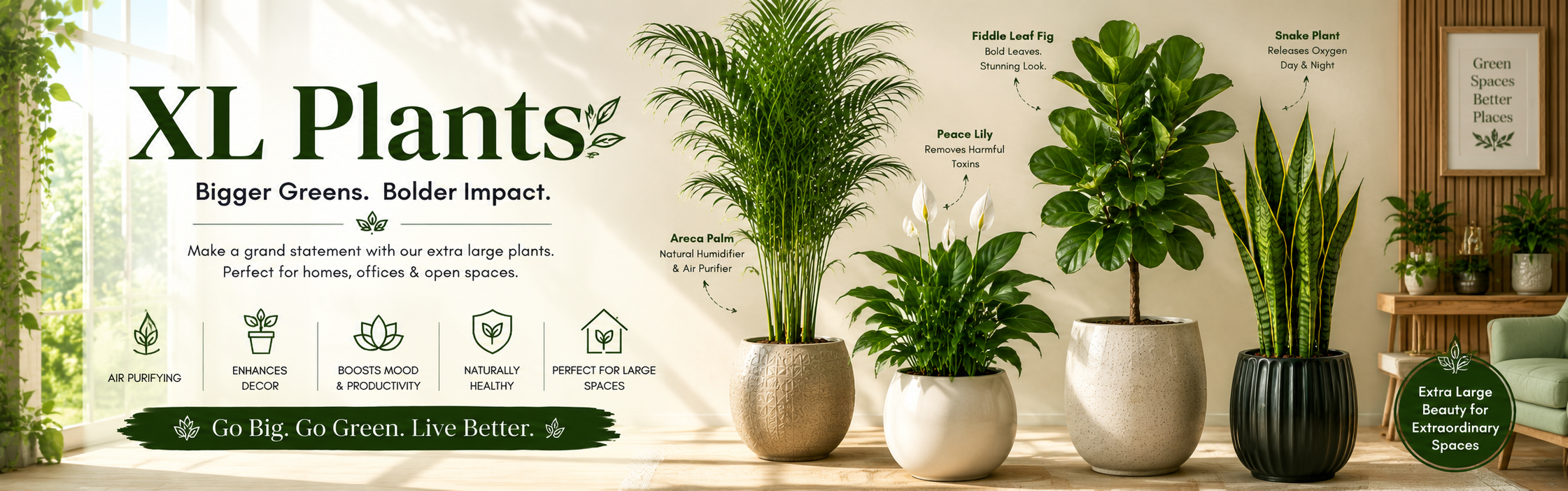 Xl Plants